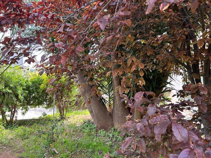 바리 Giardino A Mare 아파트 외부 사진