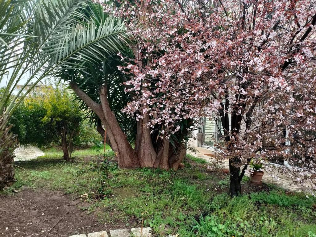 바리 Giardino A Mare 아파트 외부 사진